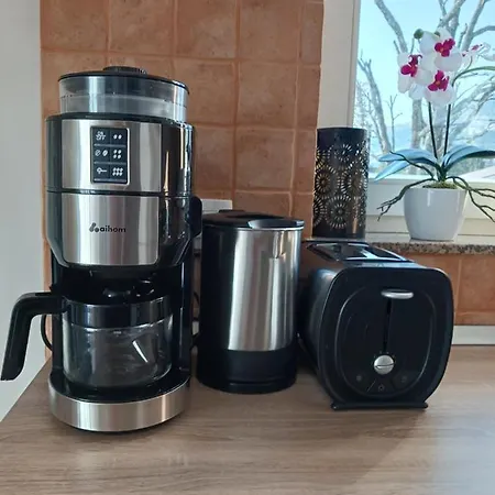 Lady Daniela Mit Meerblick In Lovran