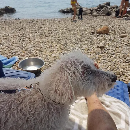 Lady Daniela Mit Meerblick In * Ловран