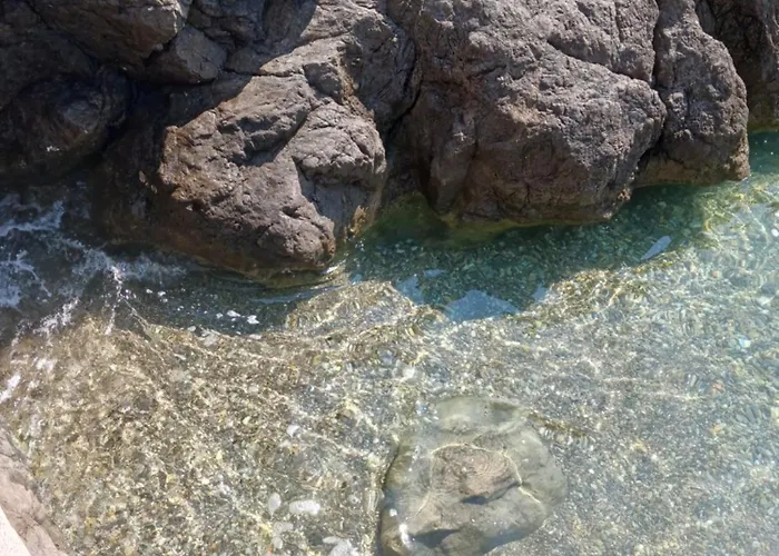 Lady Daniela Mit Meerblick In