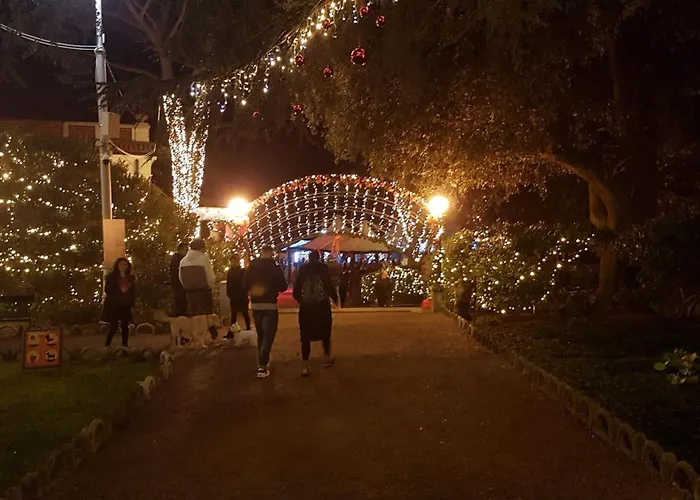 Lady Daniela Mit Meerblick In Appartement *