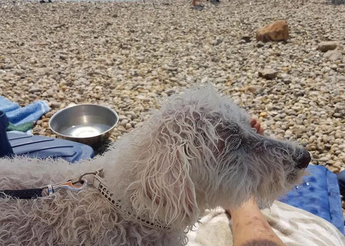 Lady Daniela Mit Meerblick In * Lovran